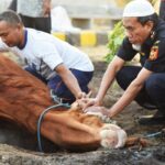 Pemerintah tetapkan Libur Idul Adha 3 Hari. 29-30 Juni 2023
