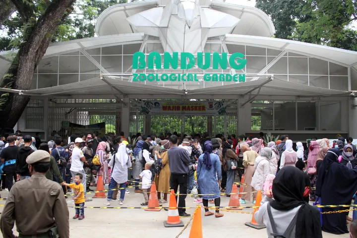 Yayasan Tamansari Tuntut Konflik Manajemen Kebun Binatang Bandung! Yayasan Tamansari Tuntut Konflik Manajemen Kebun Binatang Bandung!