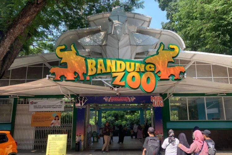 Kisruh di Bandung Zoo! Serikat Pekerja Tuntut Pengelola Ilegal Angkat Kaki! Kisruh di Bandung Zoo! Serikat Pekerja Tuntut Pengelola Ilegal Angkat Kaki!