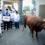 Bandung Tertib Saat Iduladha! Sapi 1,2 Ton dari Presiden Prabowo Disalurkan di Masjid Al Ukhuwah!