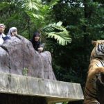 Kebun Binatang Bandung Bermasalah: 4 Fakta Hukum & Usulan Revisi Konservasi