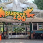Capek Mediasi, Farhan Ultimatum Bandung Zoo
