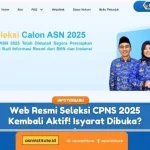 CPNS 2025 Kapan Dibuka? Ini Jawaban Resmi KemenpanRB