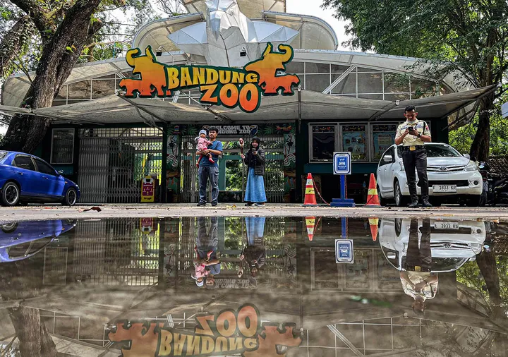 Bandung Zoo Miliaran Rupiah, YMT Soroti Transparansi dan Nasib Satwa Bandung Zoo Miliaran Rupiah, YMT Soroti Transparansi dan Nasib Satwa