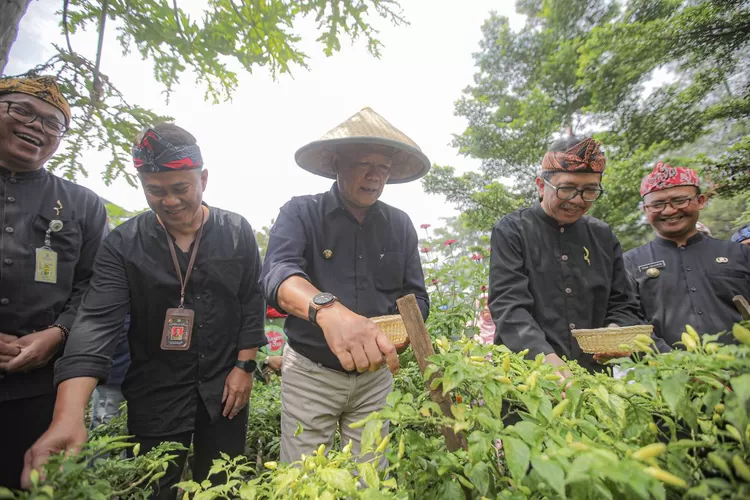Anak Muda Bandung Pimpin Perubahan Pangan Lewat Gerakan Urban Future Anak Muda Bandung Pimpin Perubahan Pangan Lewat Gerakan Urban Future