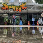 Pengelola Bandung Zoo Bertikai, Satwa Terancam?