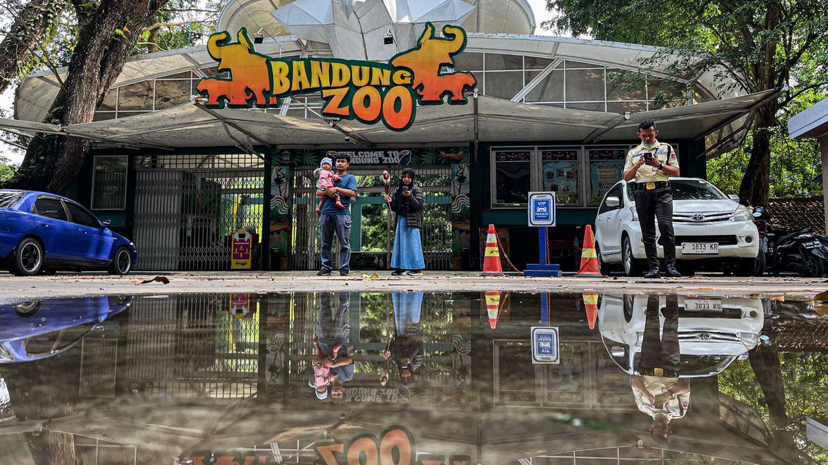 Pengelola Bandung Zoo Bertikai, Satwa Terancam? Pengelola Bandung Zoo Bertikai, Satwa Terancam?