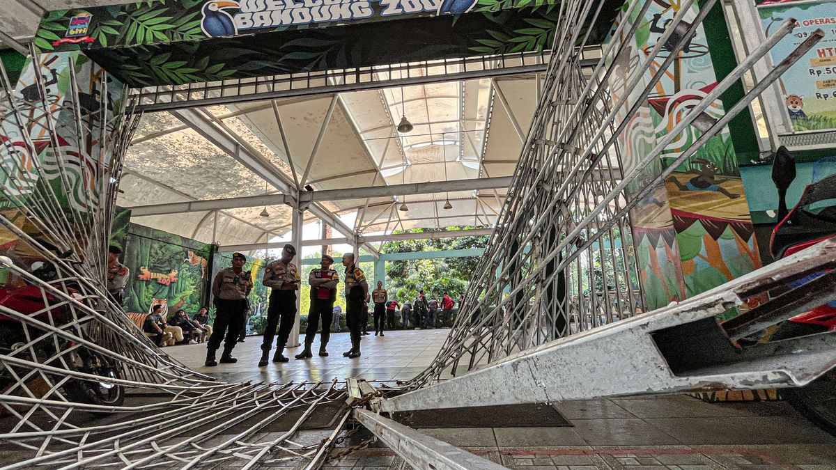 Kisruh Bandung Zoo, Pemkot Siap Libatkan Kemenhut Kisruh Bandung Zoo, Pemkot Siap Libatkan Kemenhut