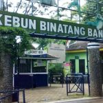 Konflik Internal, Bandung Zoo Resmi Ditutup Mulai 7 Agustus