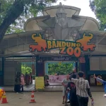 Bandung Zoo Memanas, Pemkot Bandung Hadapi Gugatan