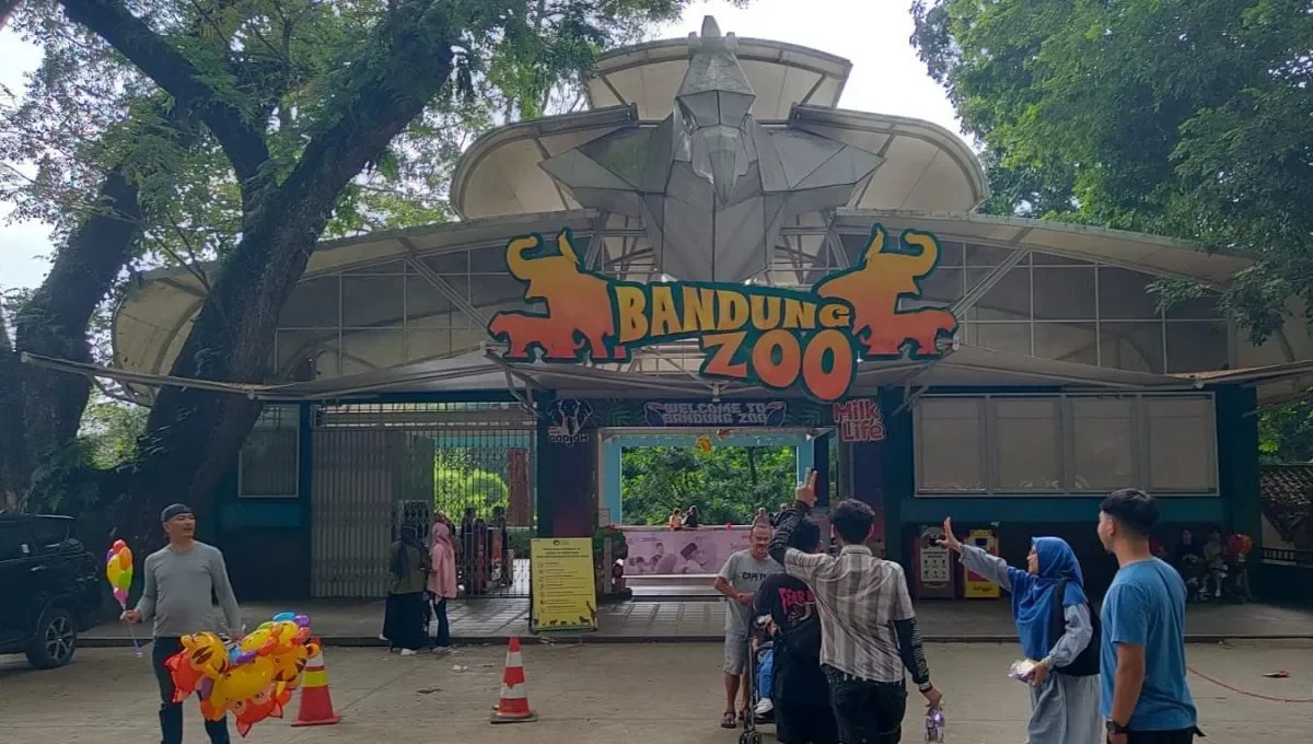 Bandung Zoo Memanas, Pemkot Bandung Hadapi Gugatan