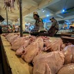Pasokan Tersedot Program MBG, Harga Ayam & Buah di KBB Meroket
