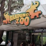 Bandung Zoo Ditutup Lama, Peneliti & Satwa Ikut Terdampak