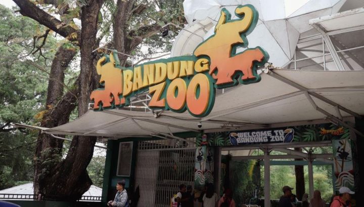 Bandung Zoo Ditutup Lama, Peneliti & Satwa Ikut Terdampak Bandung Zoo Ditutup Lama, Peneliti & Satwa Ikut Terdampak