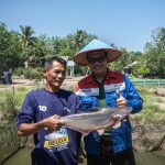 Pelestarian Ikan Belida Sungai Musi: Kilang Pertamina Jaga Identitas Palembang