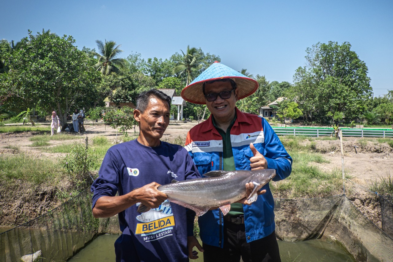 Pelestarian Ikan Belida Sungai Musi: Kilang Pertamina Jaga Identitas Palembang Pelestarian Ikan Belida Sungai Musi: Kilang Pertamina Jaga Identitas Palembang