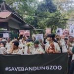 Bandung Zoo Ditutup Sebulan, 710 Satwa Masih Terawat