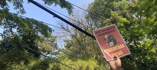 Pekerja Demo Tuntut Bandung Zoo Dibuka Lagi