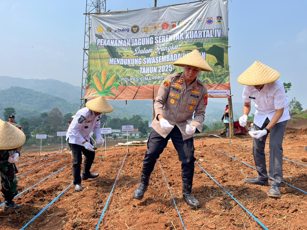 Polres Cimahi Tanam Jagung di Cikalongwetan Demi Wujudkan Swasembada Pangan Nasional Polres Cimahi Tanam Jagung di Cikalongwetan Demi Wujudkan Swasembada Pangan Nasional