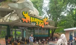 Bandung Zoo Buka Suara Soal Surat Edaran Pemkot Bandung Zoo Buka Suara Soal Surat Edaran Pemkot