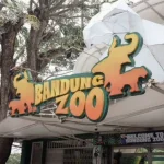 Bandung Zoo Dilarang Buka, Pemkot Tunggu Izin Resmi