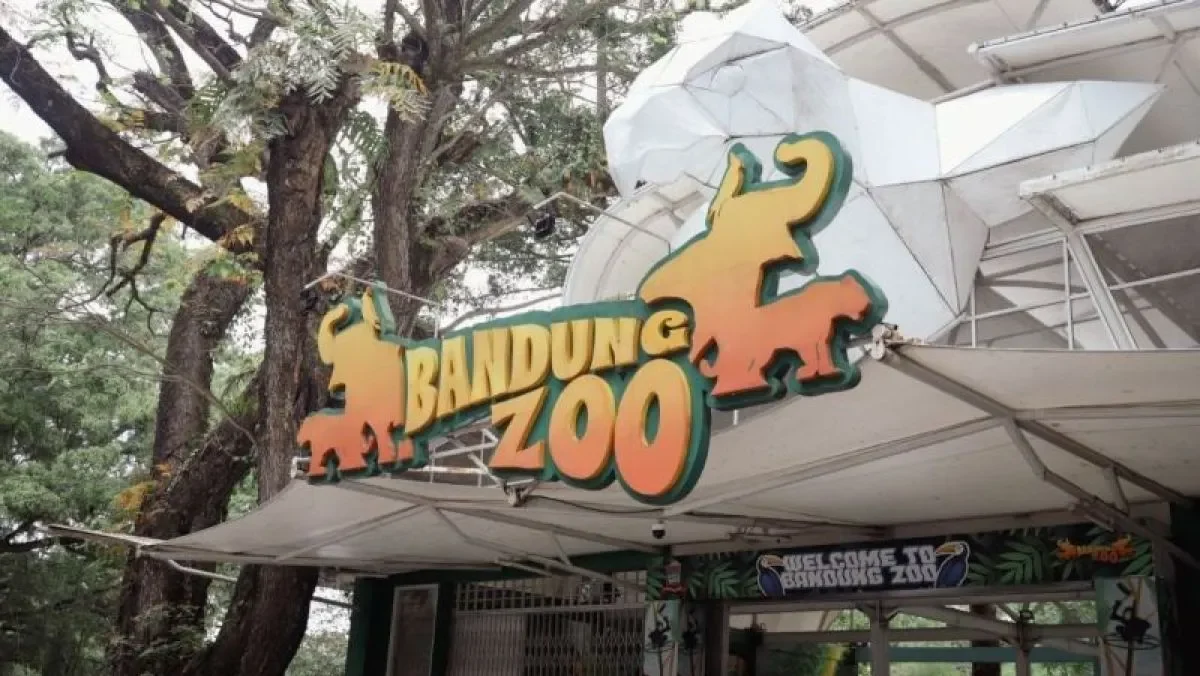 Bandung Zoo Dilarang Buka, Pemkot Tunggu Izin Resmi