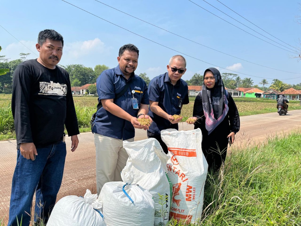 Bulog Jabar Serap Gabah Rp6.500 per Kg, Dukung Program KDMP dan Makan Bergizi Gratis Bulog Jabar Serap Gabah Rp6.500 per Kg, Dukung Program KDMP dan Makan Bergizi Gratis