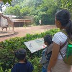 Bandung Zoo Kembali Buka: Kebun Binatang Modern Gratis untuk Sekolah dan Tamu Undangan