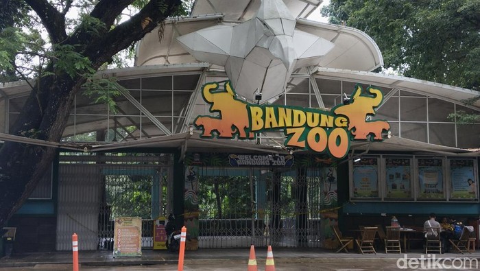 Terdakwa Bandung Zoo Menangis di Ruang Sidang Terdakwa Bandung Zoo Menangis di Ruang Sidang