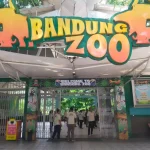 Bandung Zoo Resmi Mundur dari PKBSI! Ini Alasannya