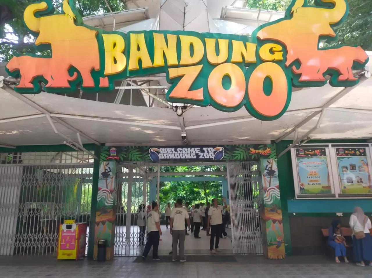 Bandung Zoo Resmi Mundur dari PKBSI! Ini Alasannya