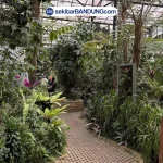 Destinasi Wisata Dekat Bandung yang Lagi Hits