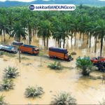Pembukaan Akses Aceh Tamiang, Pemerintah Kerahkan Truk BBM dan Alat Berat dari Medan