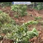 Tanah Longsor Arjasari Bandung: 3 Warga Tertimbun, Tim SAR Lanjutkan Pencarian Hari Kedua