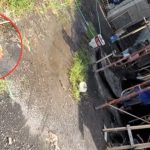 Lagi Jalan Santai Sama Anjingnya Malah Dicatcalling, Cewek Ini Langsung Samperin Para Tukang yang Sedang Bekerja