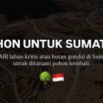 Jerhemy Owen Galang Donasi untuk Pulihkan Hutan Sumatera
