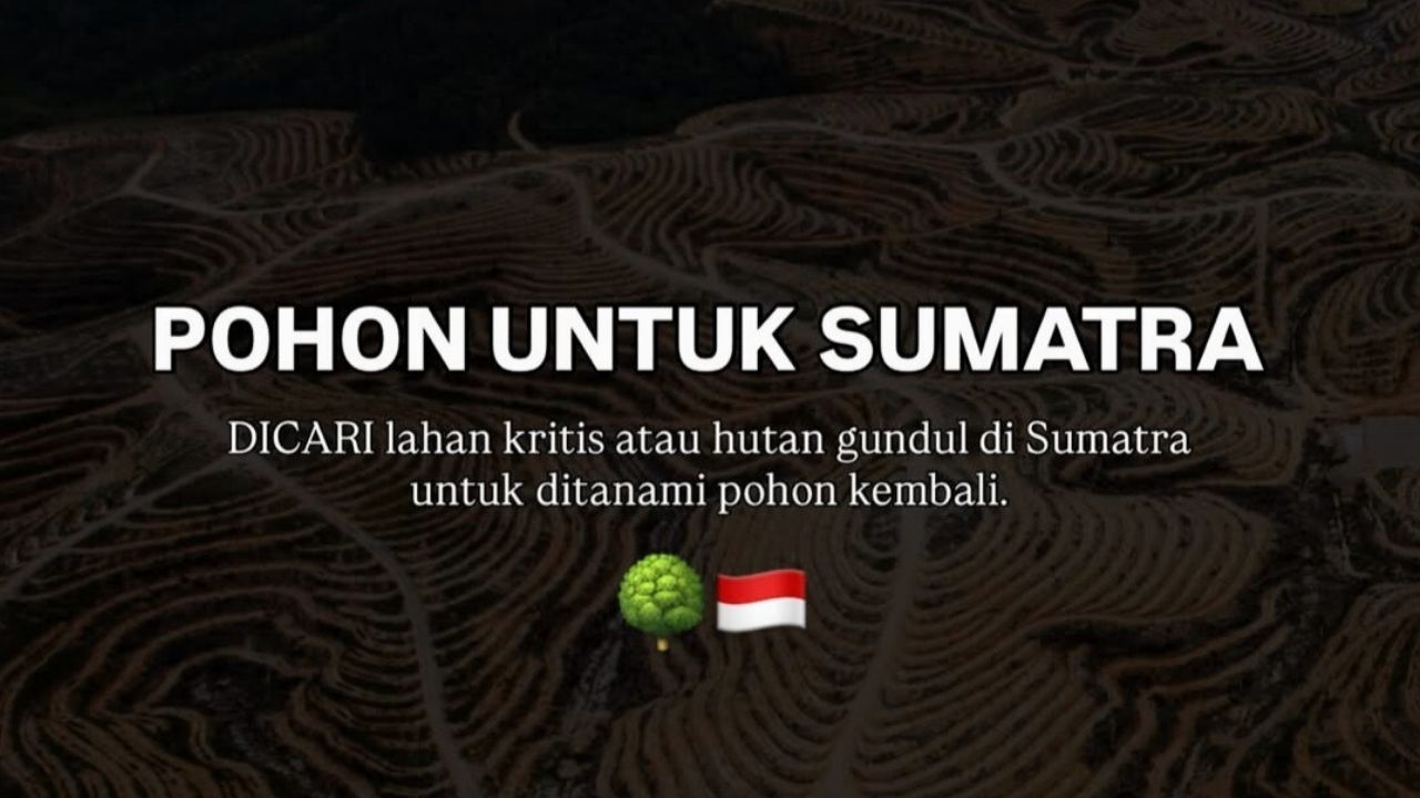 Jerhemy Owen Galang Donasi untuk Pulihkan Hutan Sumatera Jerhemy Owen Galang Donasi untuk Pulihkan Hutan Sumatera