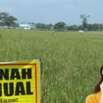 Kamu Mau Beli Tanah? Wajib Teliti Sebelum Transaksi, Berikut Hal-Hal yang Perlu Dicek