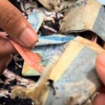 Sakit Tak Berdarah, Cewek Ini Bongkar Celengan tapi Hasilnya Malah Kayak Gini