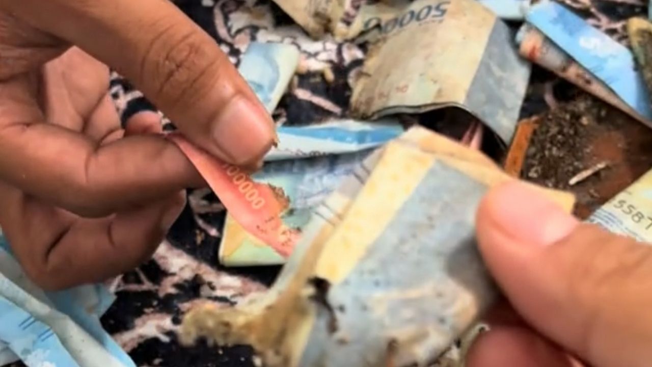 Sakit Tak Berdarah, Cewek Ini Bongkar Celengan tapi Hasilnya Malah Kayak Gini Sakit Tak Berdarah, Cewek Ini Bongkar Celengan tapi Hasilnya Malah Kayak Gini