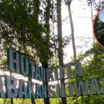 Revitalisasi Taman Hutan Kota Babakan Siliwangi Bandung Rampung, Kini Telah Dibuka Secara Umum