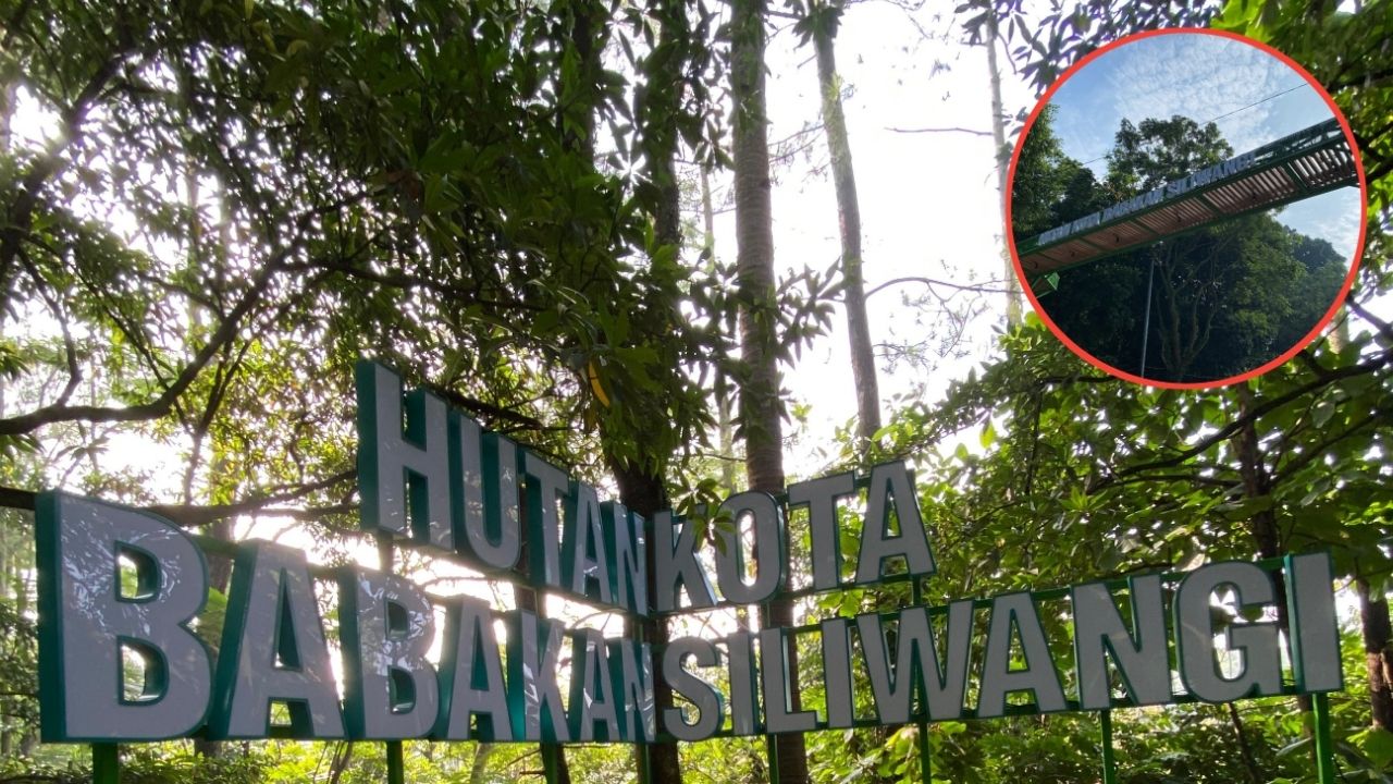 Revitalisasi Taman Hutan Kota Babakan Siliwangi Bandung Rampung, Kini Telah Dibuka Secara Umum Revitalisasi Taman Hutan Kota Babakan Siliwangi Bandung Rampung, Kini Telah Dibuka Secara Umum