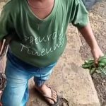 Demi Dapat Uang Rp 50 Ribu, Bocah Laki-Laki di Garut Ini Tangkap Ular di Area Persawahan