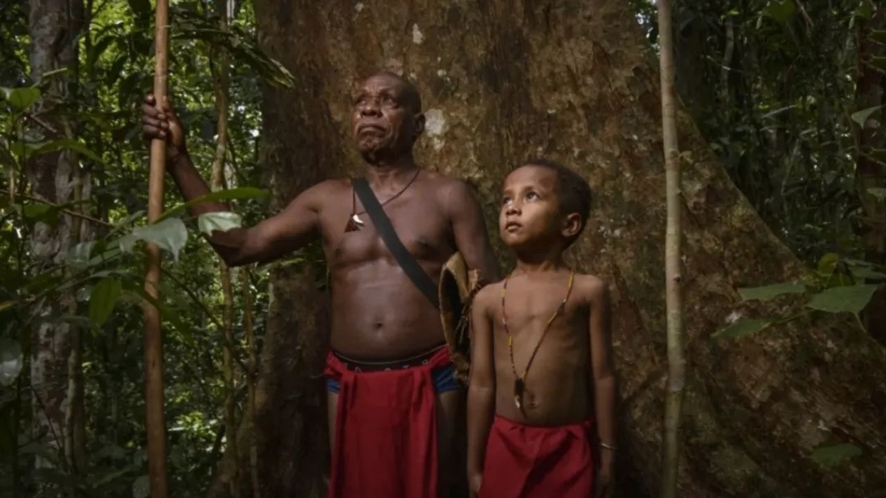 Hadiah Pahit Pembangunan, Kisah Pilu Warga Papua Menatap Hutannya Berubah Jadi Lubang Tambang Hadiah Pahit Pembangunan, Kisah Pilu Warga Papua Menatap Hutannya Berubah Jadi Lubang Tambang
