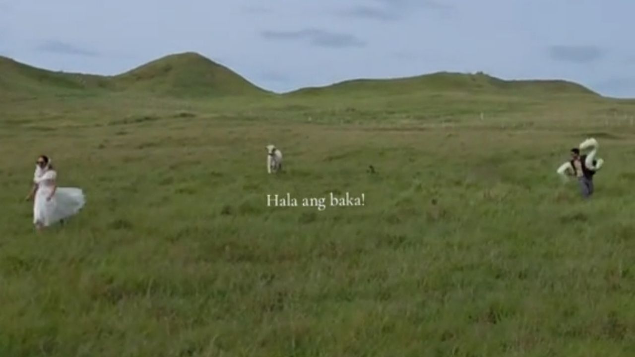 Niat Foto Romantis Bareng Pasangan di Lapangan, Tiba-Tiba Ada Sapi hingga Auto Selamatkan Diri Masing-Masing Niat Foto Romantis Bareng Pasangan di Lapangan, Tiba-Tiba Ada Sapi hingga Auto Selamatkan Diri Masing-Masing