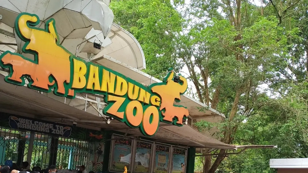 Separuh Gaji Pegawai Bandung Zoo Siap Dibayar Penuh oleh Pemkot Bandung, Daftar Nama Tunggu dari BBKSDA Kemenhut