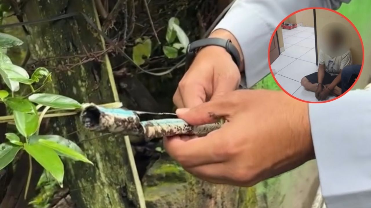 Pelaku Pencurian Kabel PJL di Kecamatan Babakan Ciparay Kota Bandung Berhasil Diamankan Polsek Bacip Pelaku Pencurian Kabel PJL di Kecamatan Babakan Ciparay Kota Bandung Berhasil Diamankan Polsek Bacip