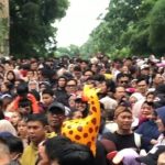 Bandung Zoo Diserbu Pengunjung Saat Tahun Baru, Antrian Membludak Hingga Mengular