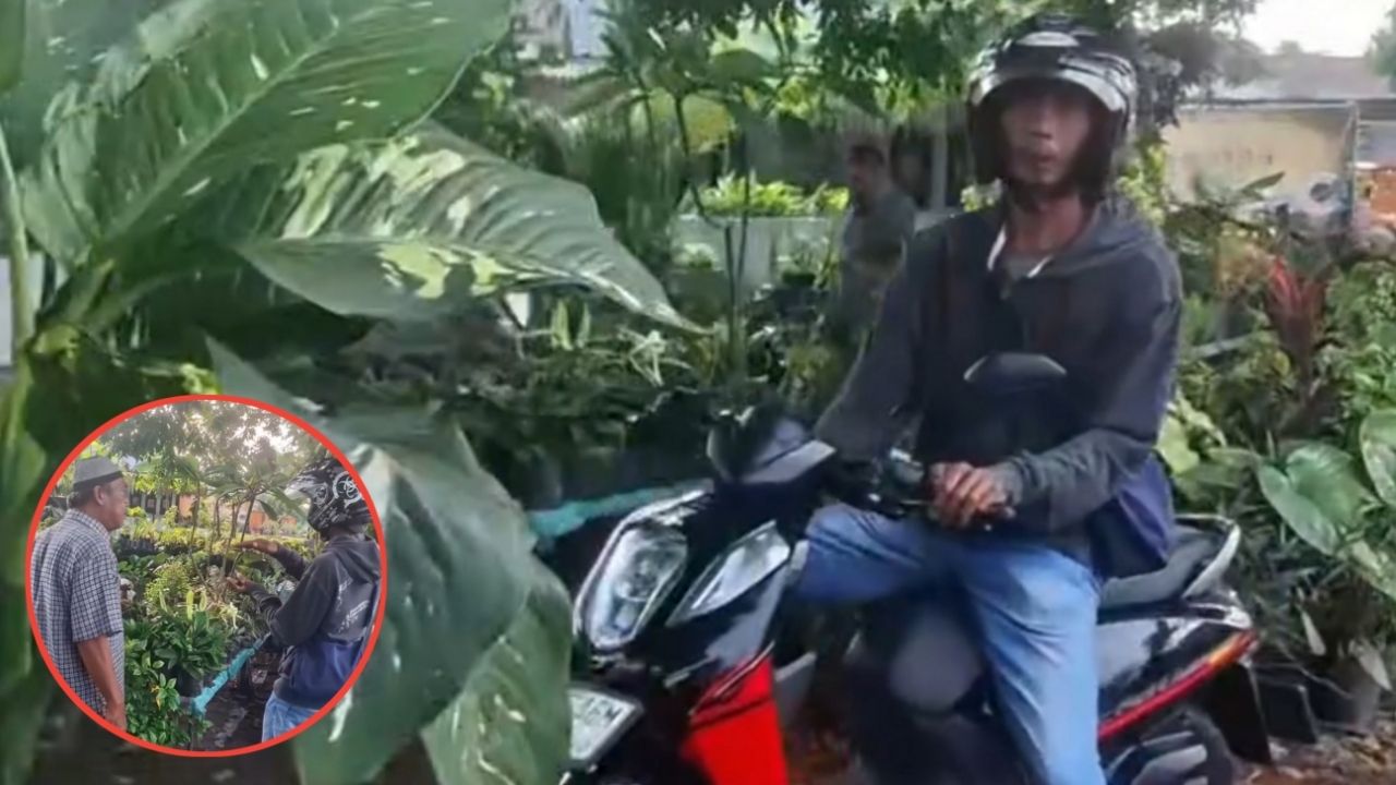 Ketahuan Polisi Karena Lawan Arah, Bapak Ini Langsung Alasan Beli Kembang di Pinggir Jalan