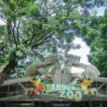 Nasib Bandung Zoo Masih Belum Pasti, Berikut Tiga Opsi yang Ditawarkan Pemkot Bandung